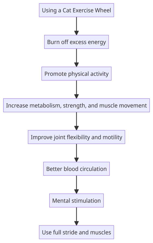 Flowchart-showing-benefits-of-cat-exercise-wheels