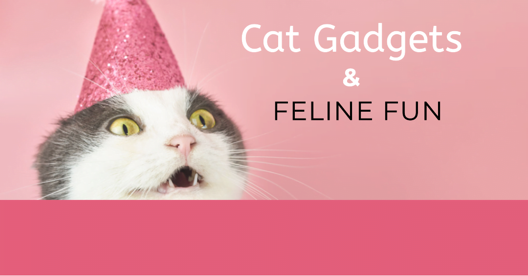 Ultimate guide to cat gadgets & feline fun