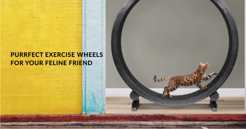 How to Choose the Right Cat Exercise Wheel for Your Furry Friend
