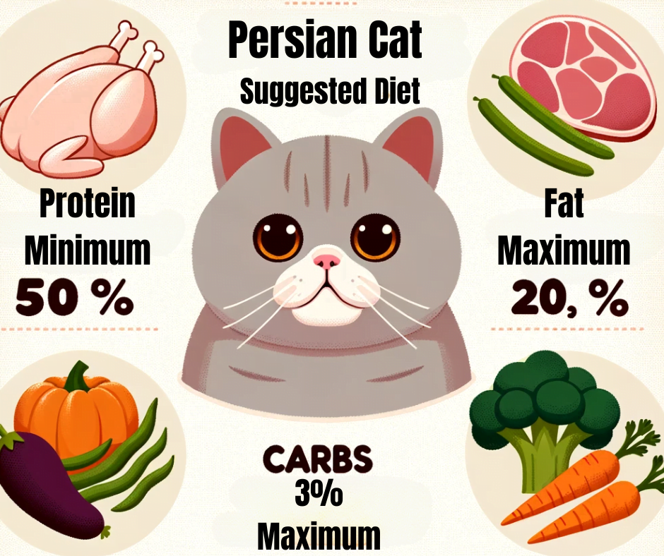 infographic showing Persian cats suggested diet