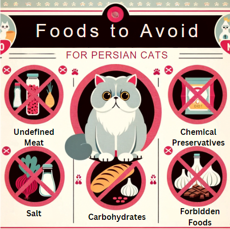 The Ultimate Guide to Cat Food for Persian Kittens