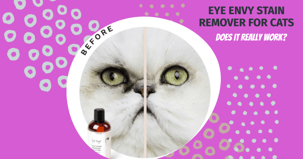 Eye Envy Stain Remover for Cats Review: An In-Depth Look
