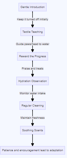 Flowchart showing training cat to start using cat water fountain