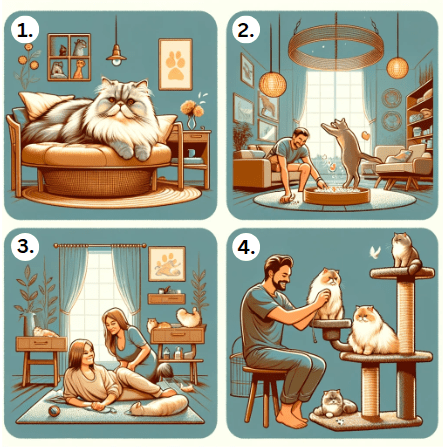 an illustration showing the lifestyle of living with a persian cat