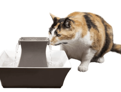 PetSafe Drinkwell Pagoda cat fountain