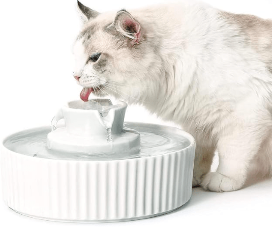 Image of a ceramic cat water fountain: Cepheus