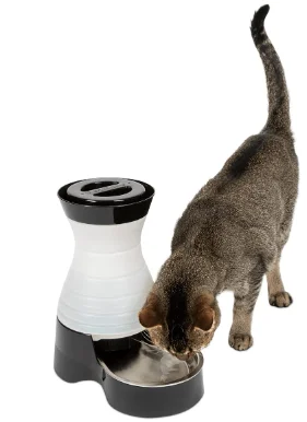 An image of the best non-electric cat water fountain