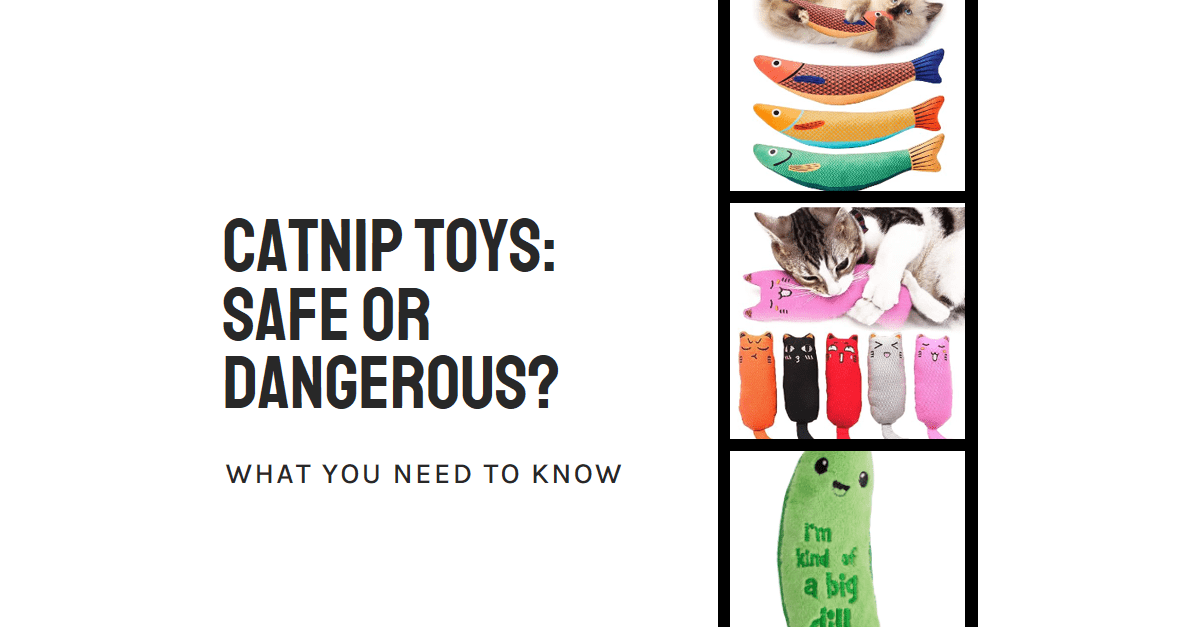 Are Catnip Toys Safe for Cats? Exploring the Facts and Myths