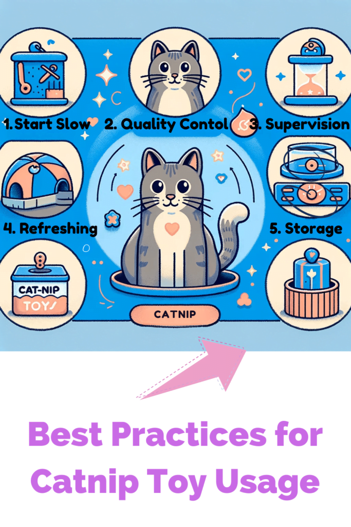 infographic showing best practices for catnip toy usage