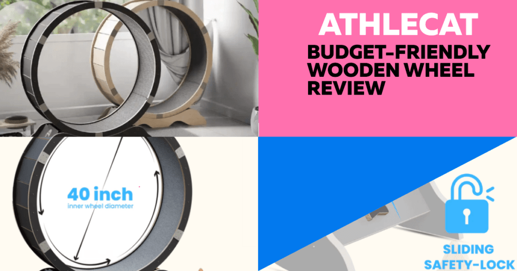 Athlecat Cat Wheel Review: A Budget-Friendly Wooden Wheel