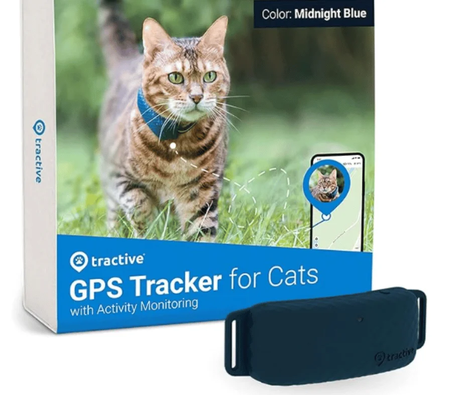 Image of a cat activity monitor and gps tracker