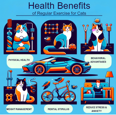 infographic showing health benefits of exercise for cats