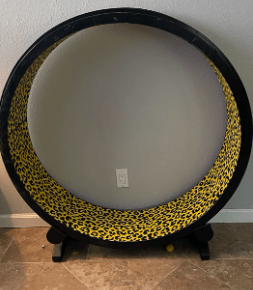Alternative to ferris cat wheel: One Fast cat wheel