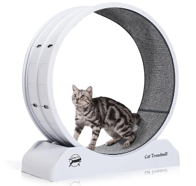 Qoility cat wheel exerciser image