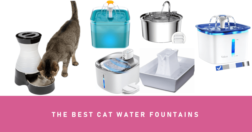The Best Cat Water Fountains featured image
