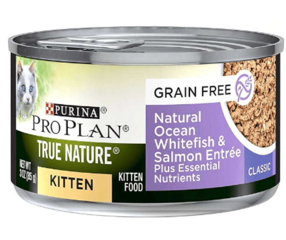 Purina Pro Plan Grain Free Wet Kitten Food Pate