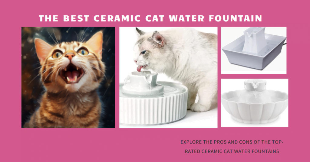 The 3 Best Ceramic Cat Water Fountains Reviewed: Elegant Sips