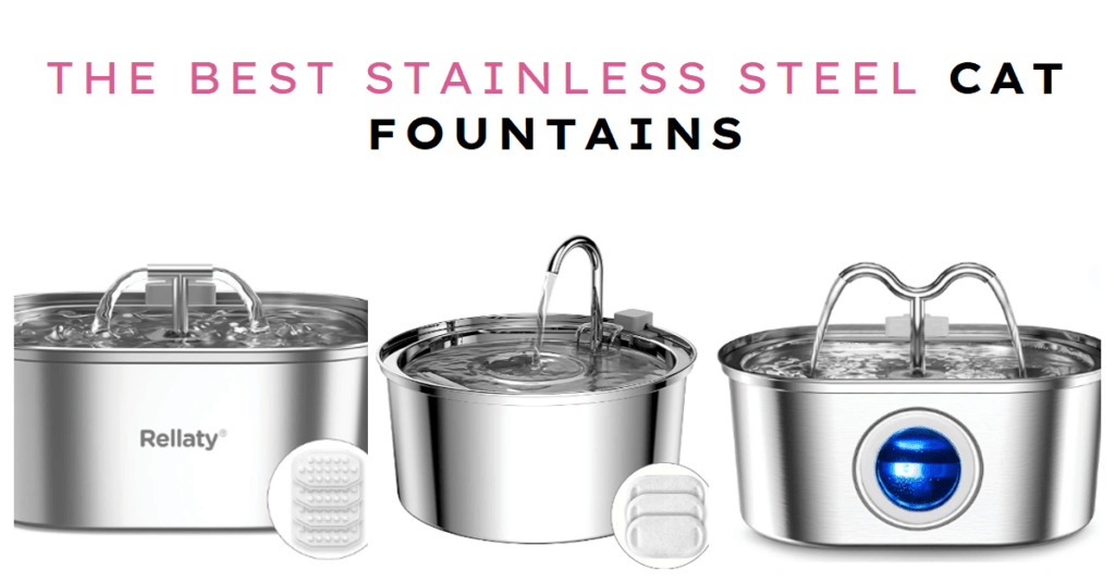 The Best Stainless Steel Cat Fountains Featured image