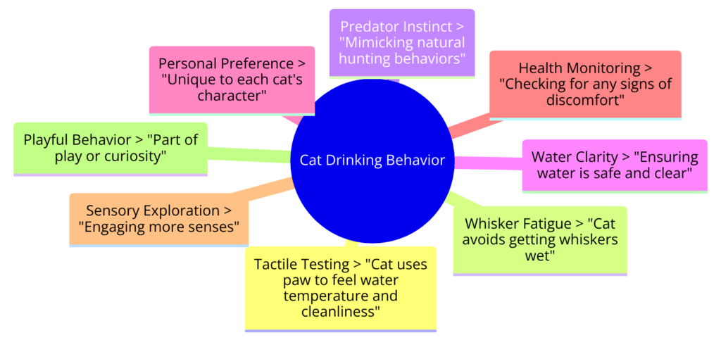 Diagram showing Reasons Why Cats Drink Water With Their Paw