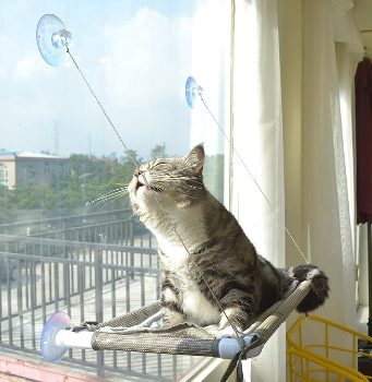 Pefuny Window Perch for Cats