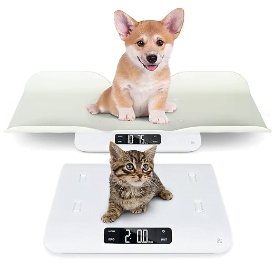 Image of a digital pet scale