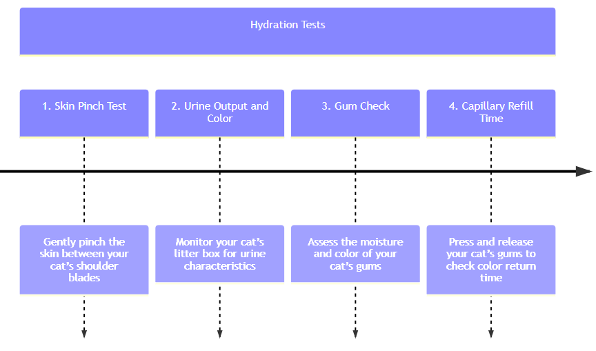 Timeline diagram showing the Hydration health checks for cats