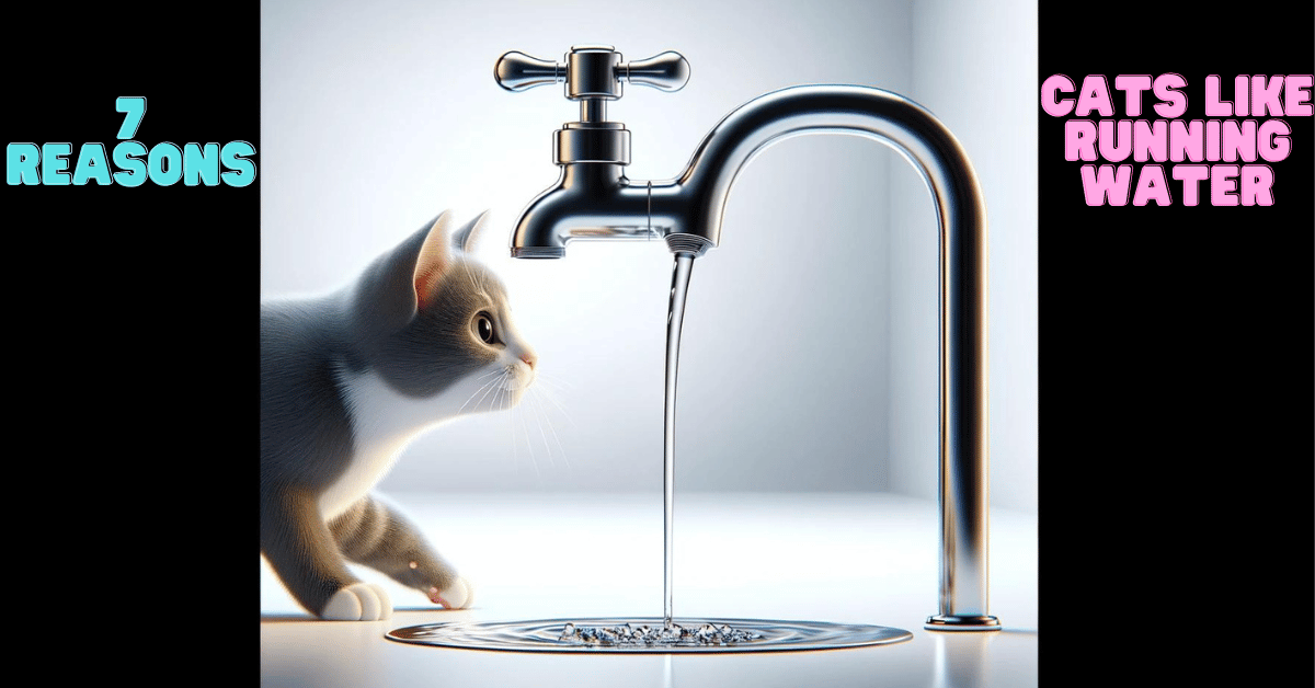 Running water best sale for cats