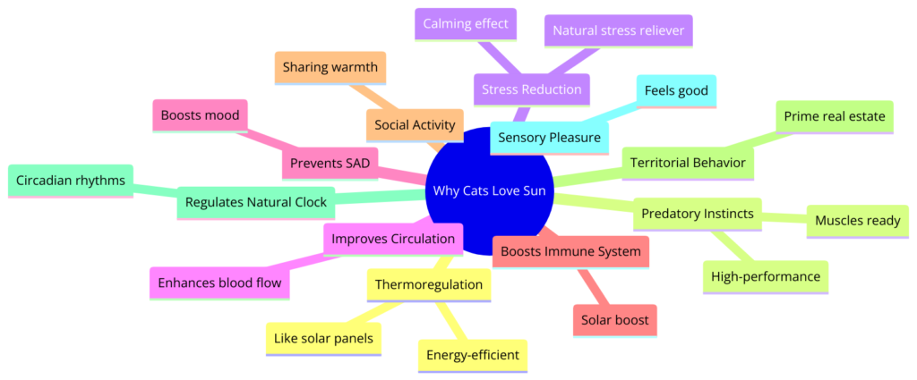 mind map diagram illustrating why cats love the sun