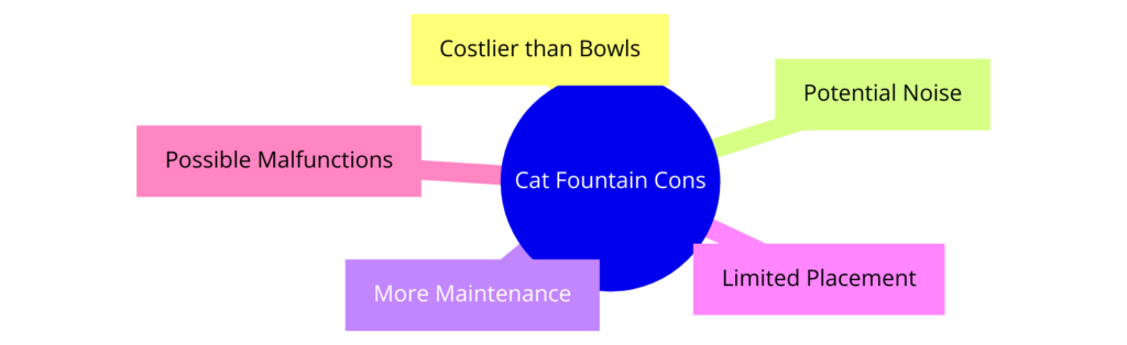 Diagram showing the cons of cat water fountains