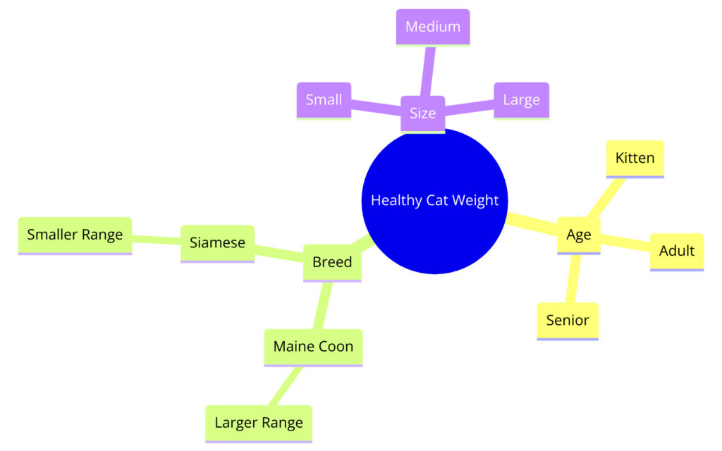 mind map diagram illustrating the factors determining a healthy weight for cats