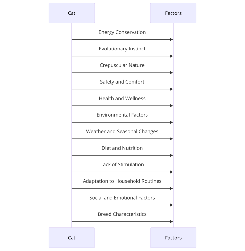 Sequence diagram illustrating the various factors influencing why cats sleep so much