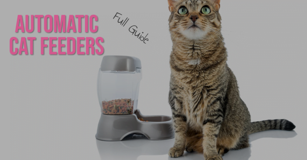 Automatic Cat Feeders Featured Image