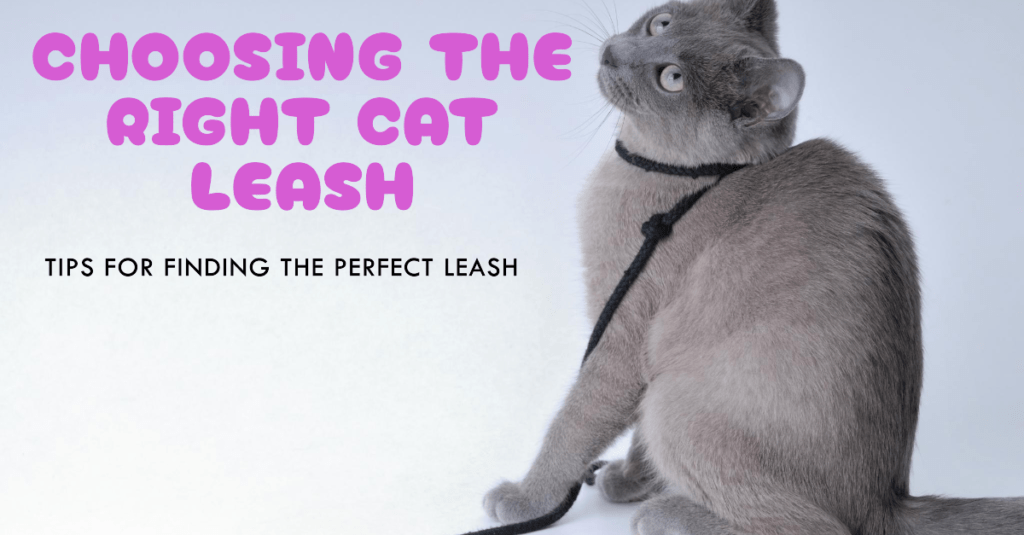 Choosing the Right Cat Leash (with examples): Whisker Wisdom