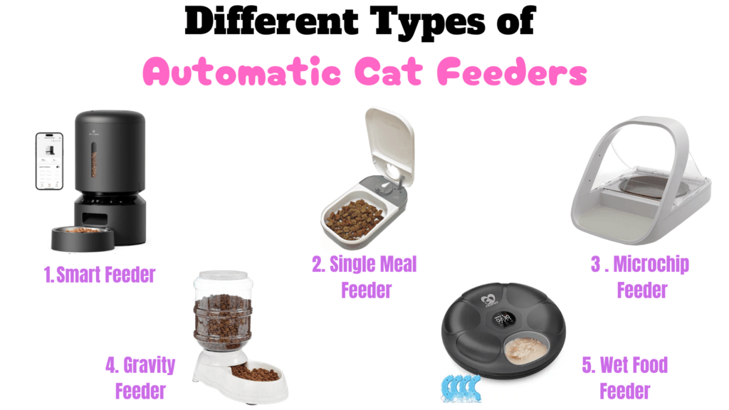 An image showing all the different types of automatic cat feeders