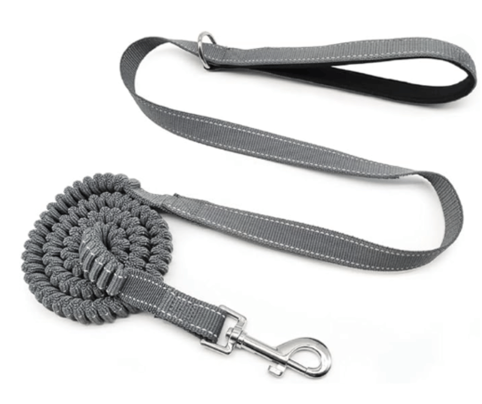 Image example of a bungee cat leash