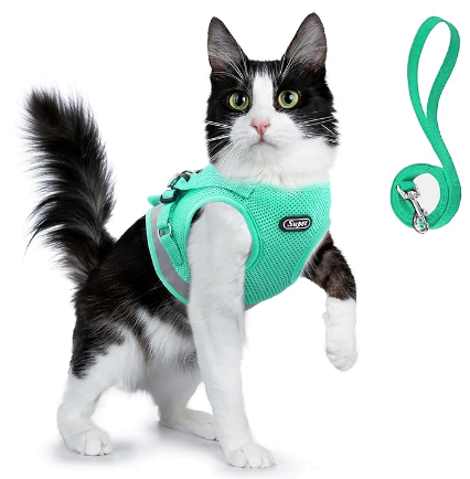 Image example of a mesh harness for cats