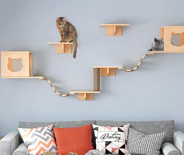 Image example of cat climbing shelves