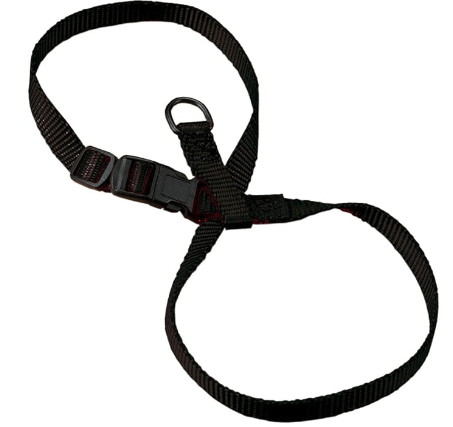 Image example of a figure-8 cat harnesses