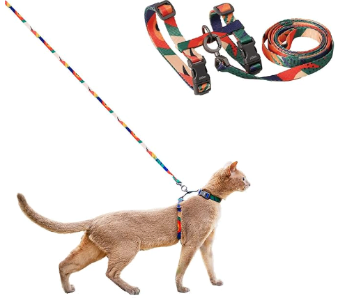 Image of an H-Harness for cats example