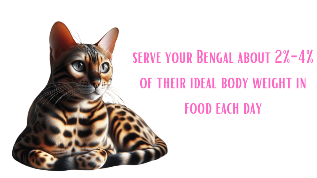 Image of an adult Bengal Cat and the recommended food serving daily