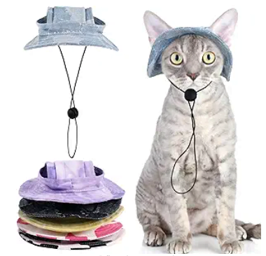Image of cat hat to protect your cat against sun exposure