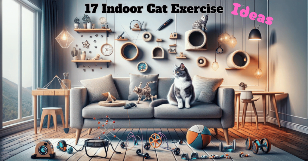 17 Indoor Cat Exercise Ideas: From Couch Potato to Cat Athlete