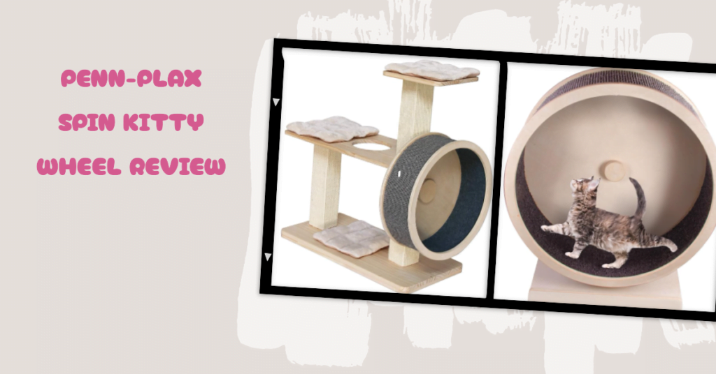The Penn Plax Cat Wheel Review: Spinning Our Way to a Verdict