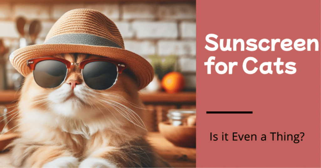 Sunscreen for Cats: Myth or Necessity?