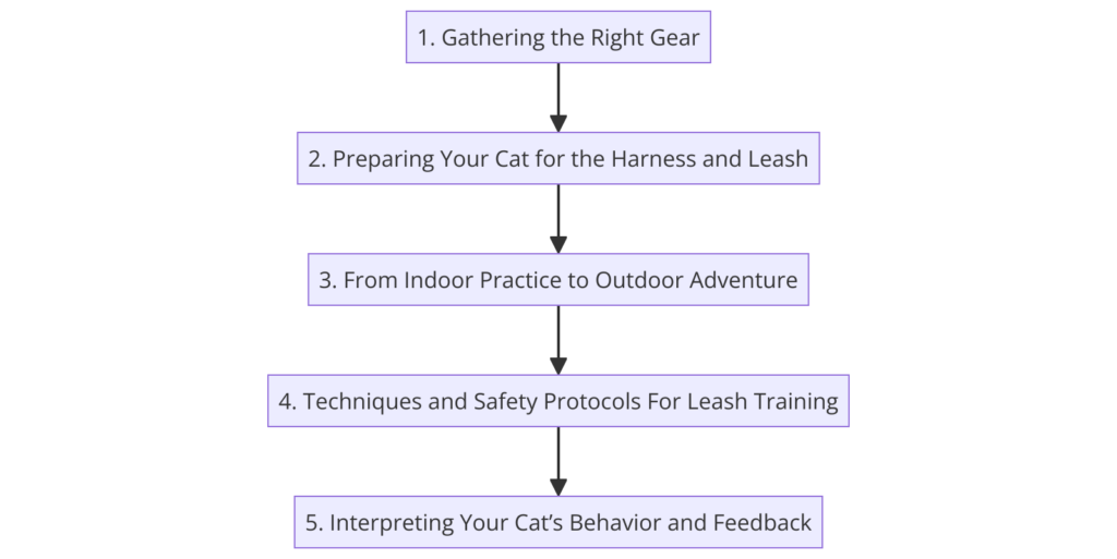 Flowchart illustrating a simpler flowchart with the five main steps on how to leash train a cat