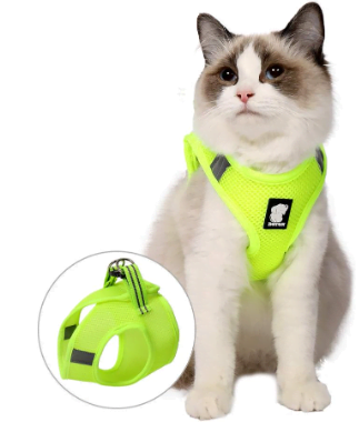 Image example of a step-in harness for cats