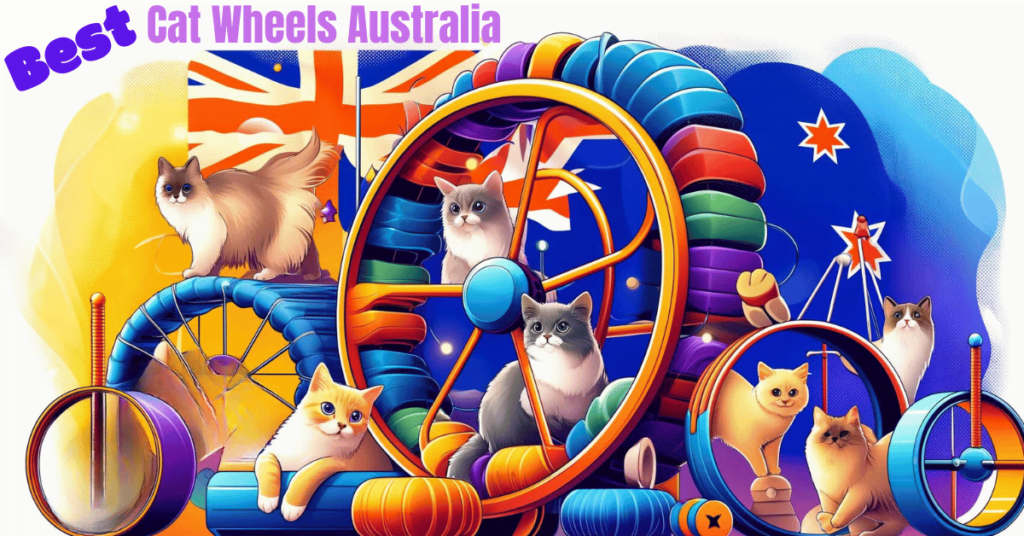Top 3 Best Cat Wheels Australia: Rolling in Style
