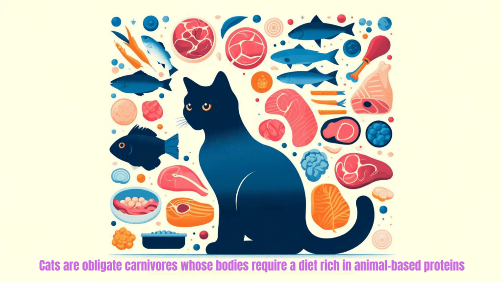 Cats are obligate carnivores visual