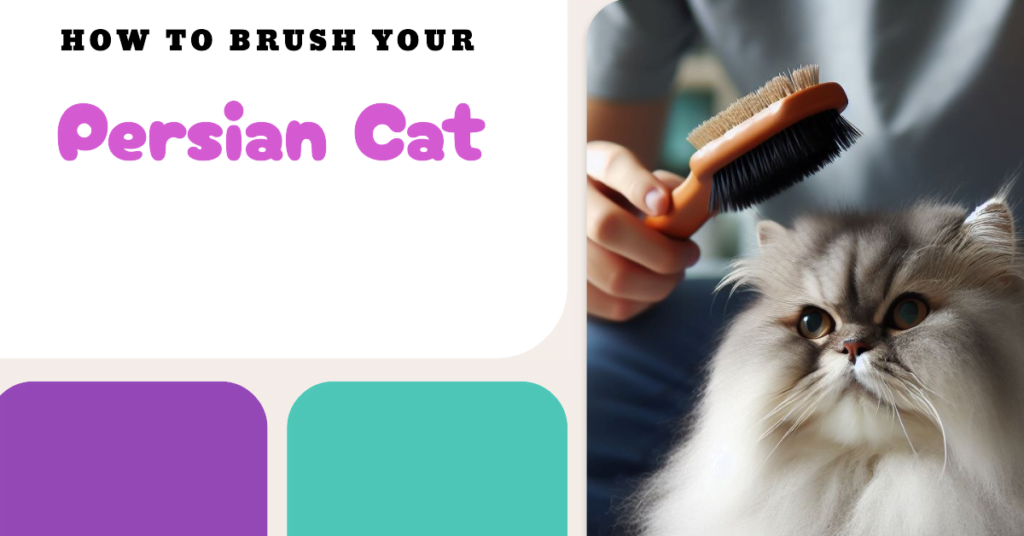 How to Brush Your Persian Cat: A Step-by-Step Guide for Fluffy Perfection