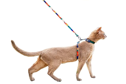 Image of Pidan cat harness and leash which is a good alternative to Sleepypod Martingale Harness